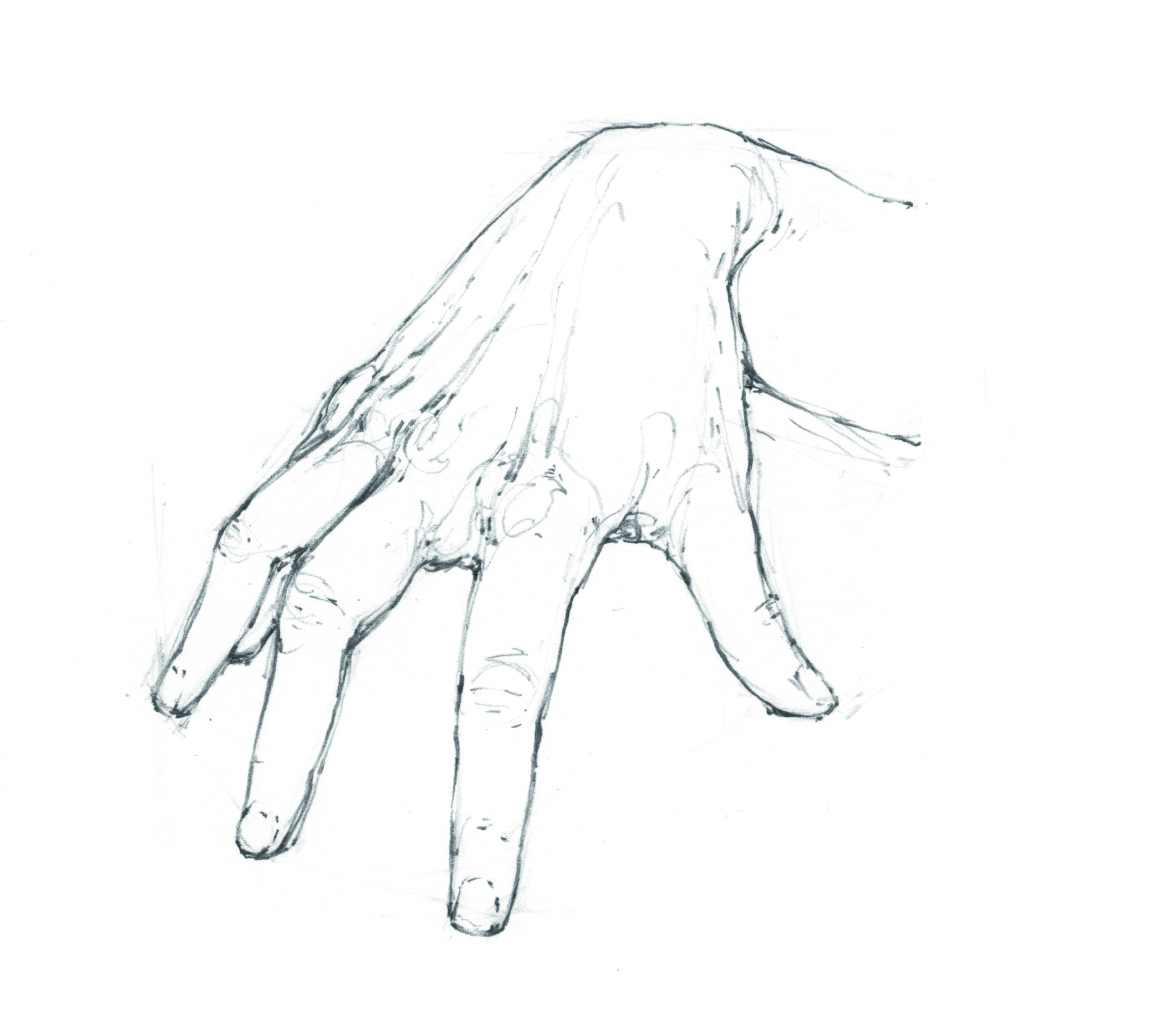 Draw hands; sketches of hands